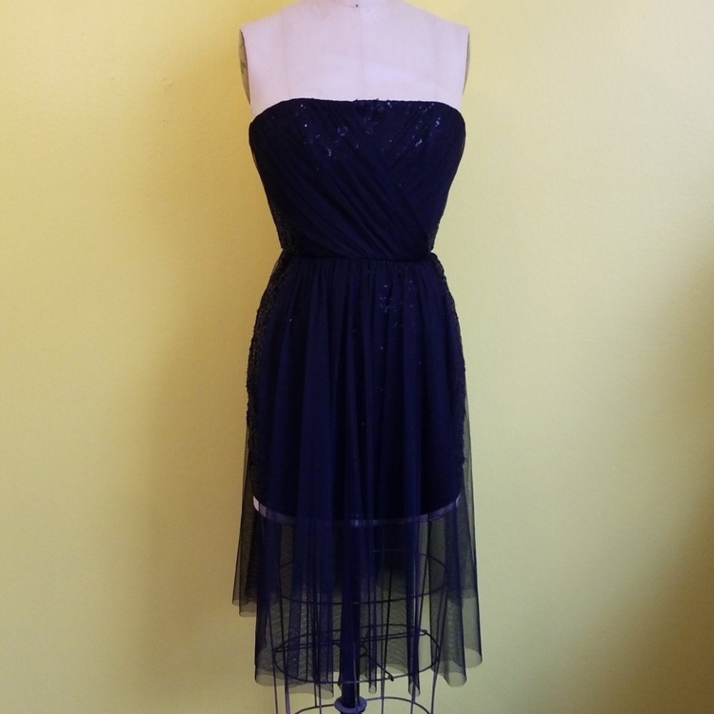 BCBG Vienna Sequin and Tulle strapless dress